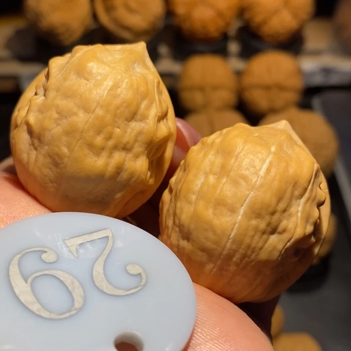 核桃马头琴核桃尺寸35