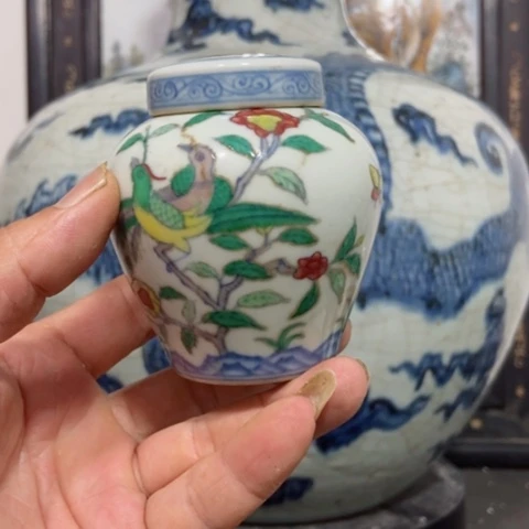 罐猫*猫我们的确需要有更