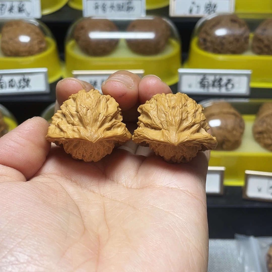 文玩核桃把件野生宫灯蛇33尺寸
