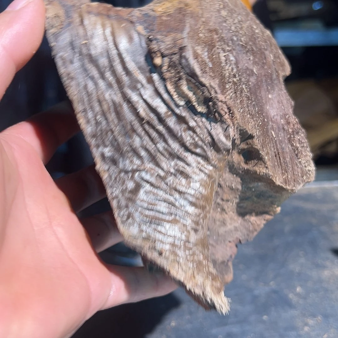 楠木东**明2222222222222