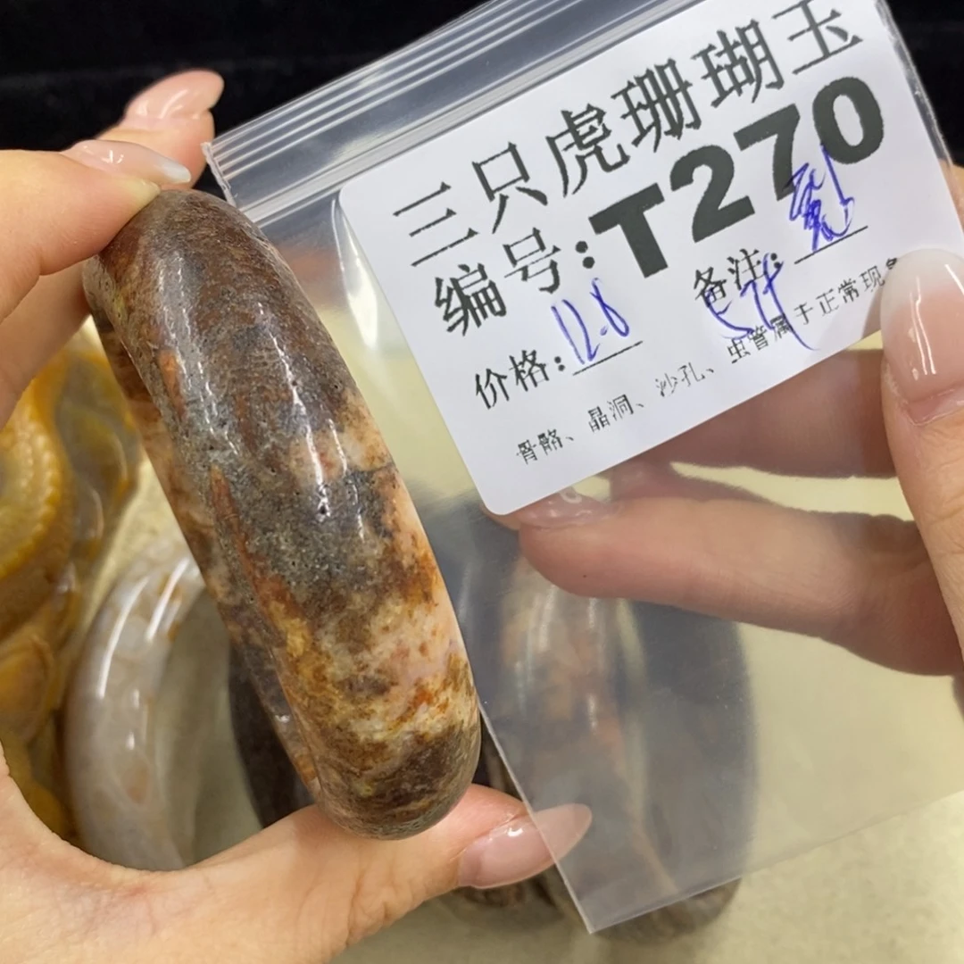 硅化珊瑚（珊瑚玉）1未镶嵌一****n