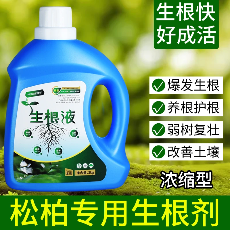 大树快速强力生根液植物通用生根剂果树木移栽成活液扦插发根液