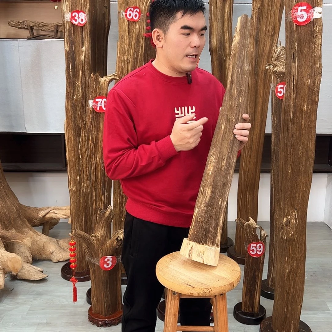 沉香摆件海南沉香摆件