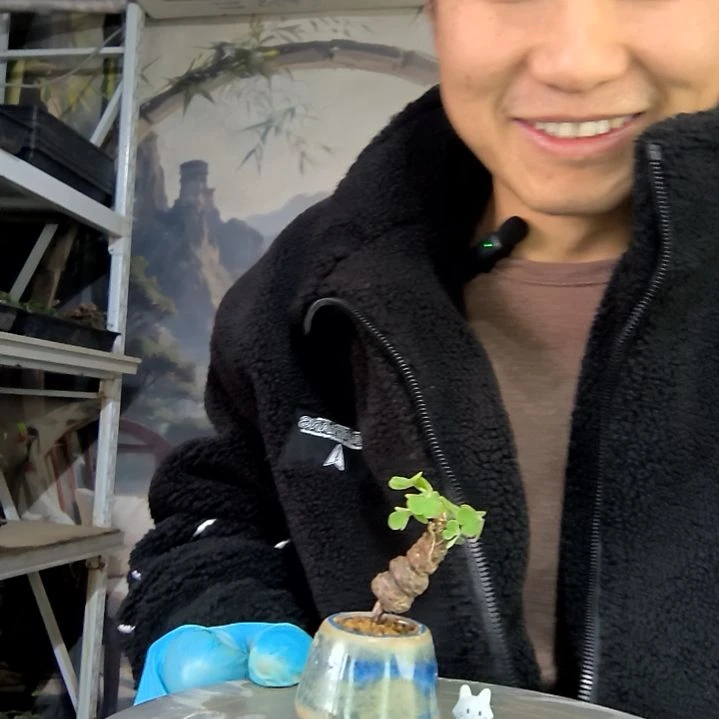 雨***酱中青园艺一物一拍花83