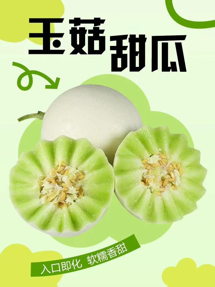 玉菇甜瓜水果界的冰淇淋蜜瓜新鲜水果现摘产地直邮特大超甜