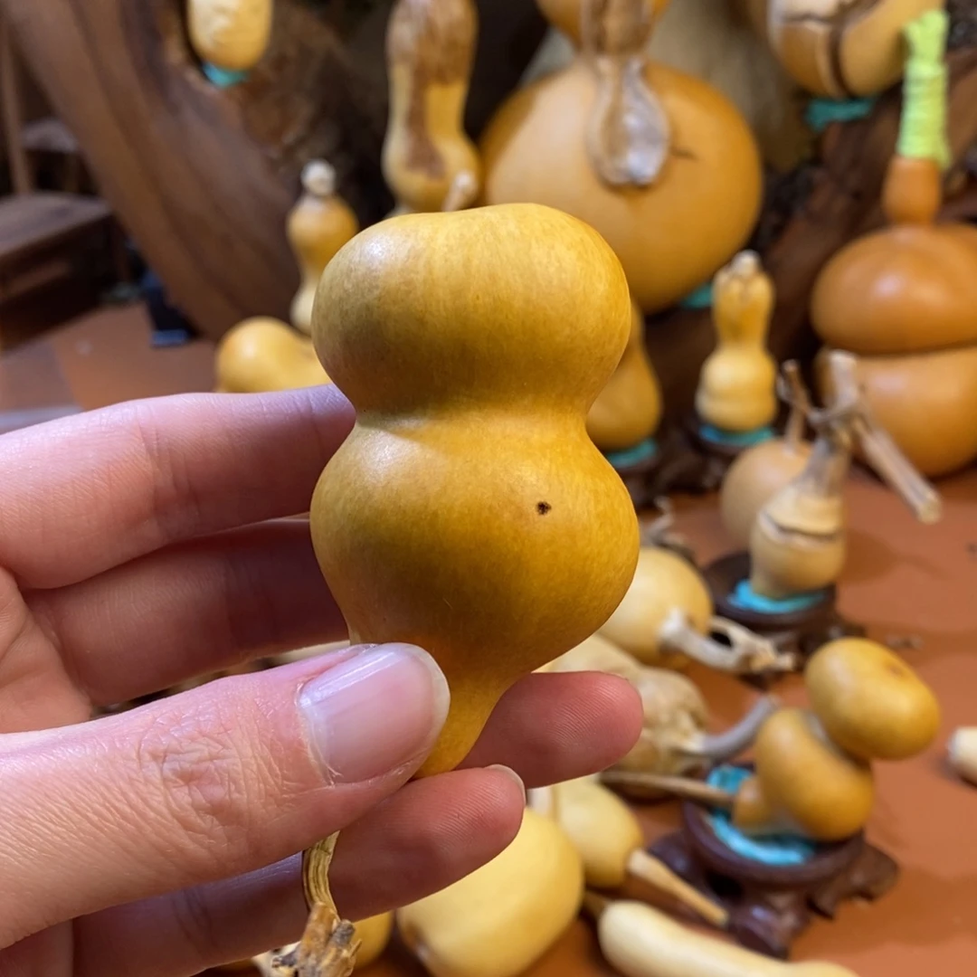 三***少教练教练教练教练咯