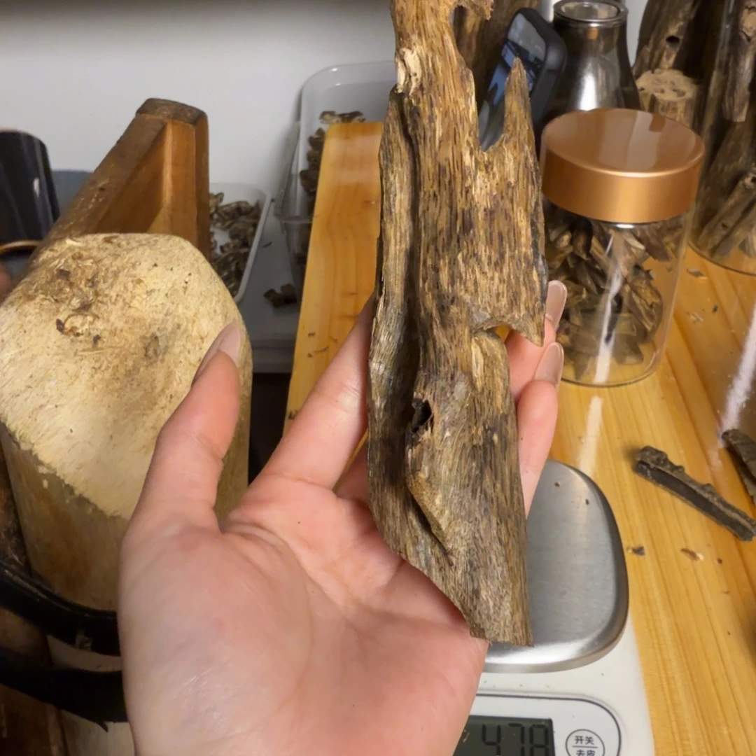 沉香乌身虫漏31克