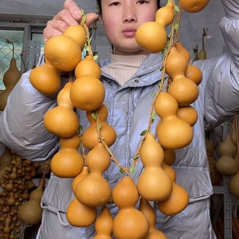 烟**岫天然植物葫芦文玩