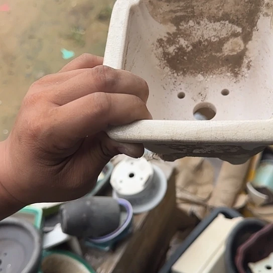 是的呀哈哈是这样哈哈不错了这个