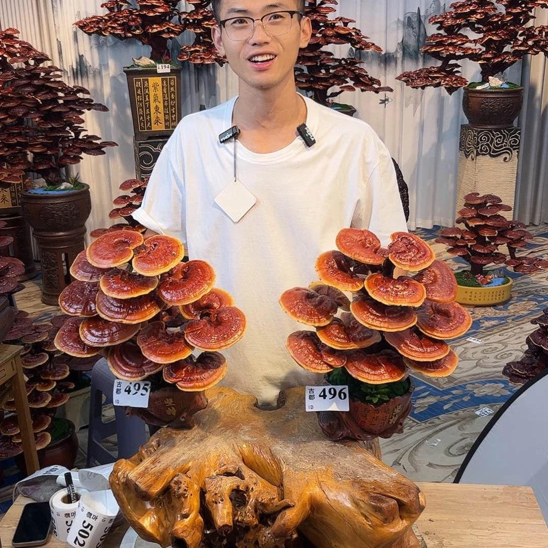 无花朵88888888888888