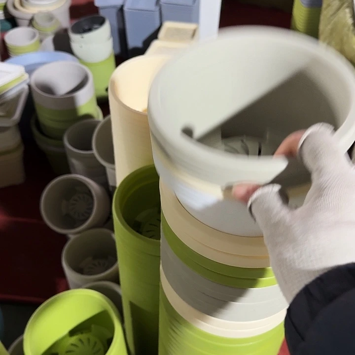 球根17口径10个无托米黄