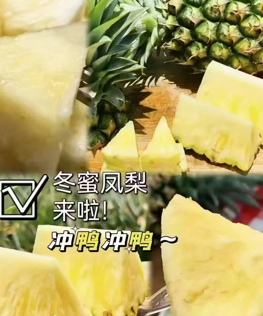 徐闻冬蜜凤梨产地直发 当季新鲜采摘  香甜多汁 中果青皮