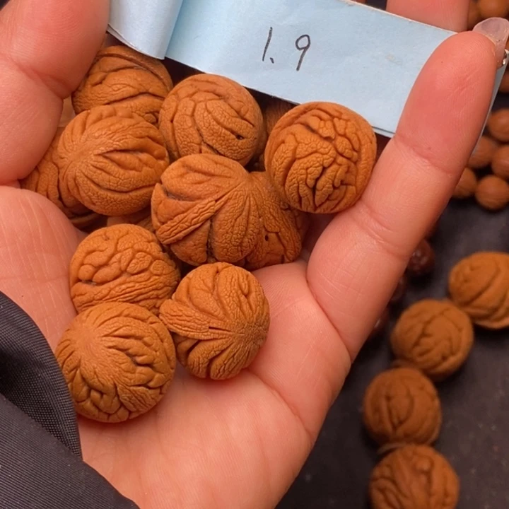 秦岭龙纹桃核14颗