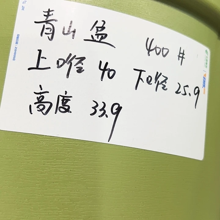 正品青山口40高34果绿无托5只
