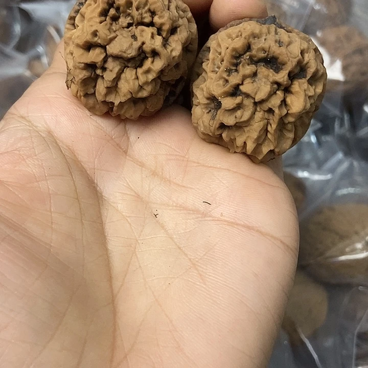 文玩核桃把件云南铁核桃基地59