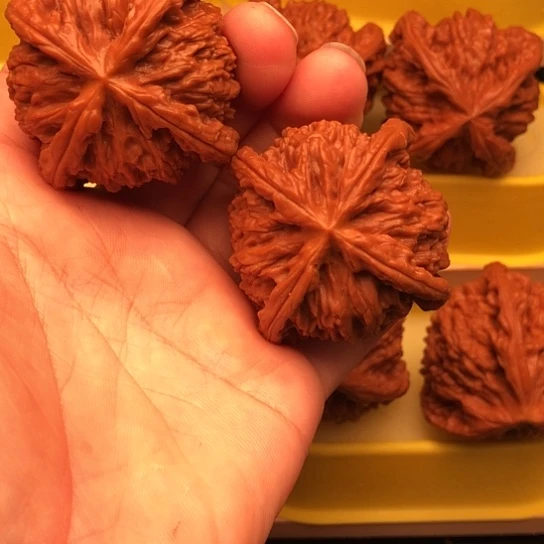 M***航核桃核桃核桃核桃核桃