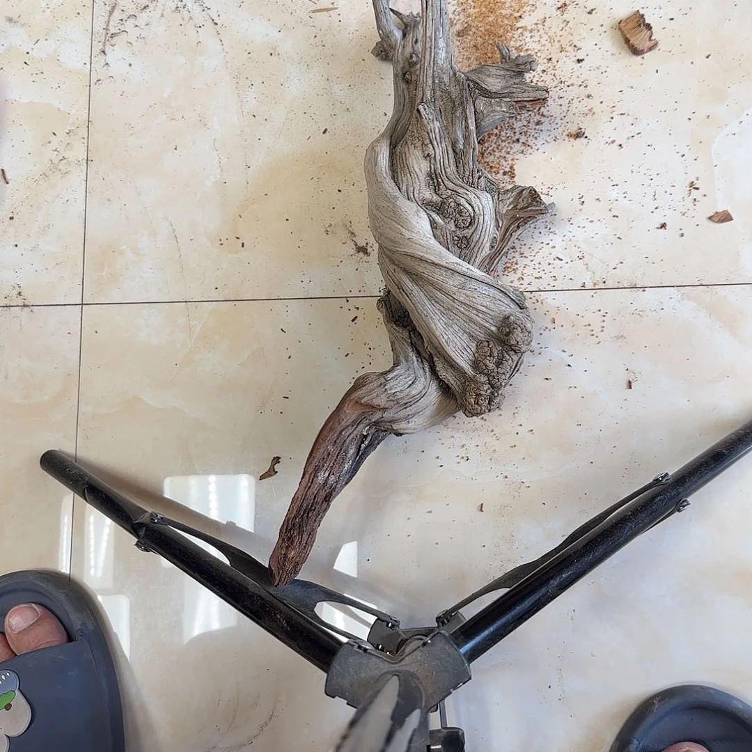 大***2木陈化到位坨坨疙瘩