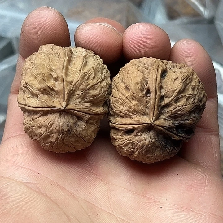 把件文玩核桃20号溜背三楞37尺