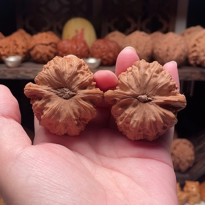 没***儿把件文玩核桃白狮子