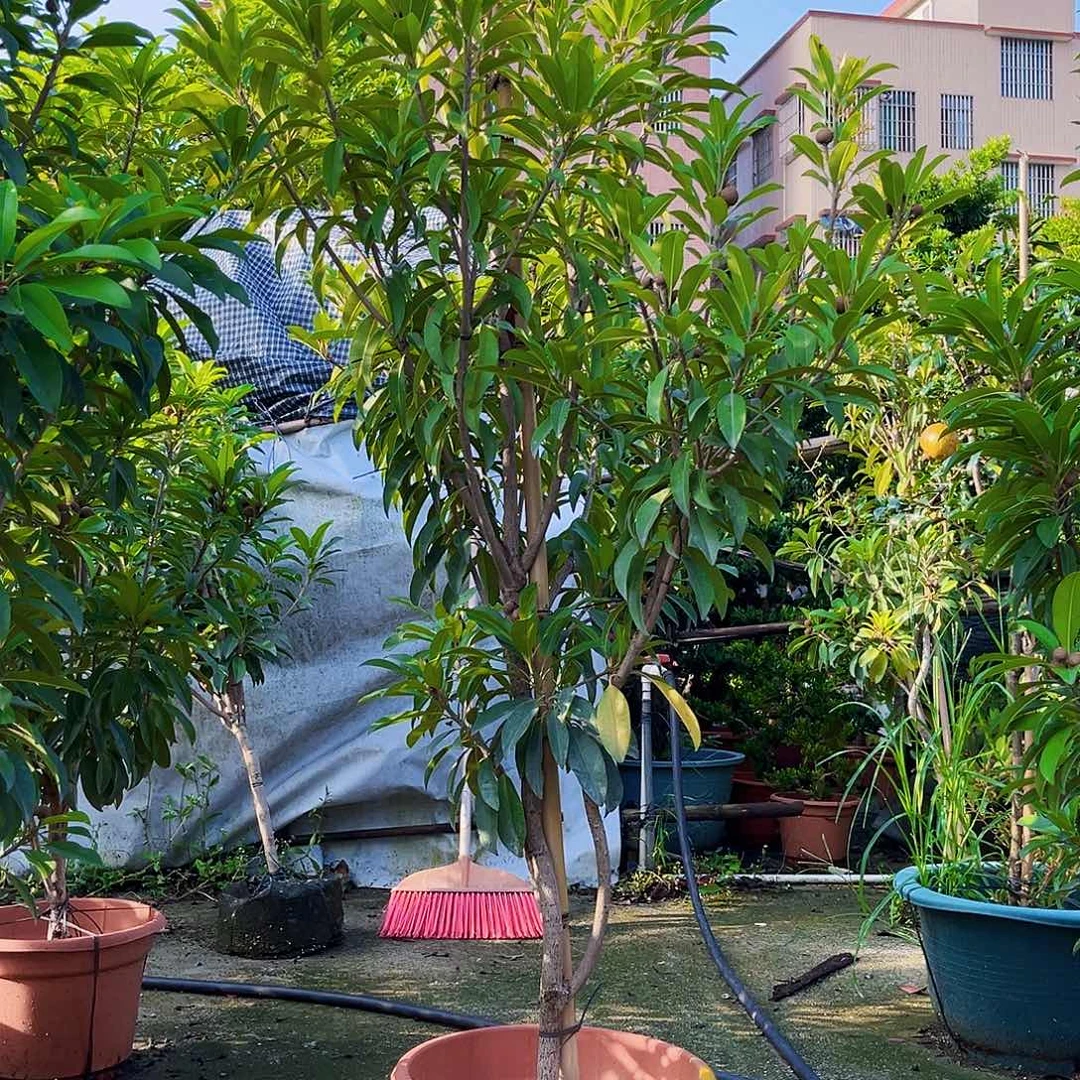 我***华1111111111111111