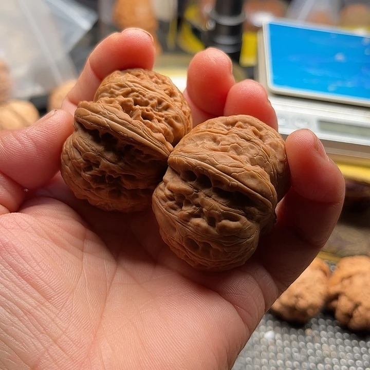 把件桃核全品平谷元宝45