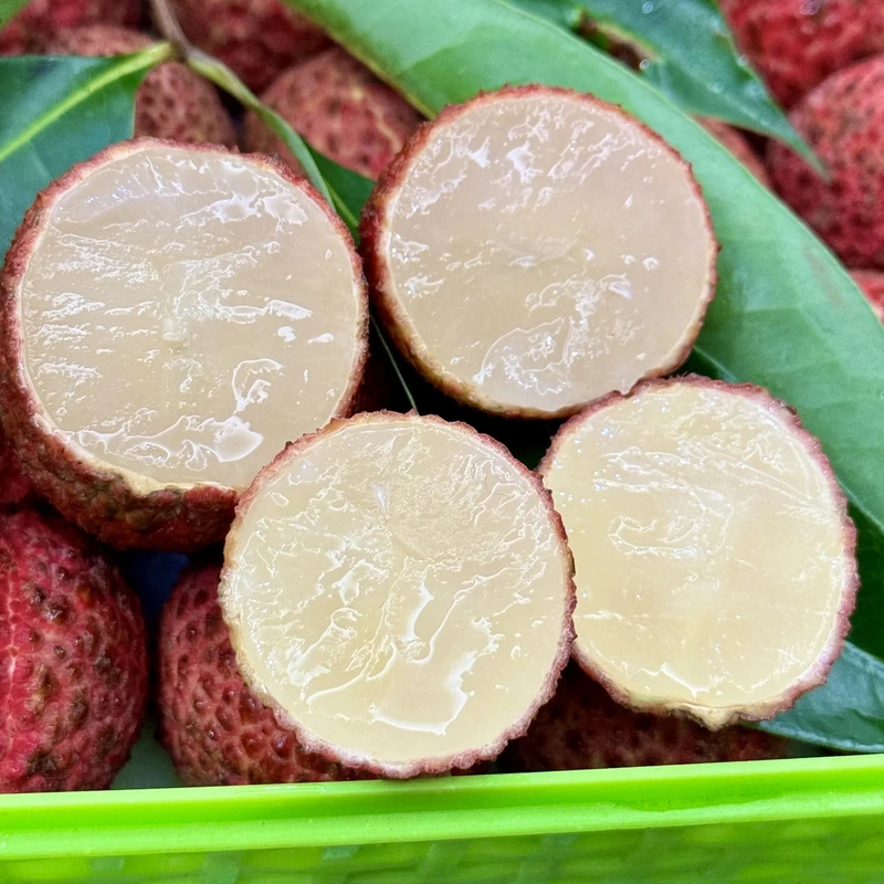 当季限定海南火山无核荔枝纯甜多汁新鲜采摘【京东空运直达】