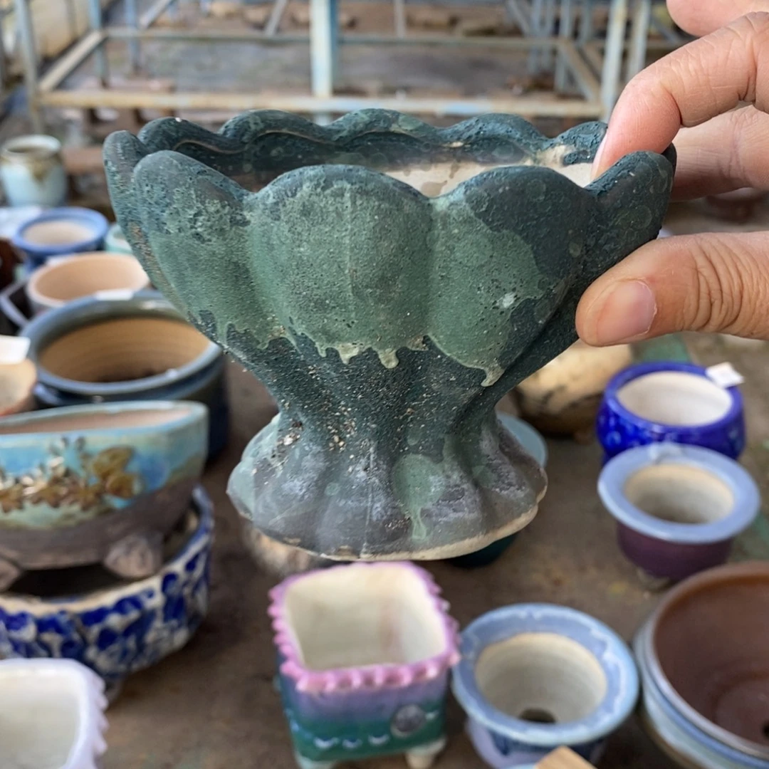 80号多肉盆口径11