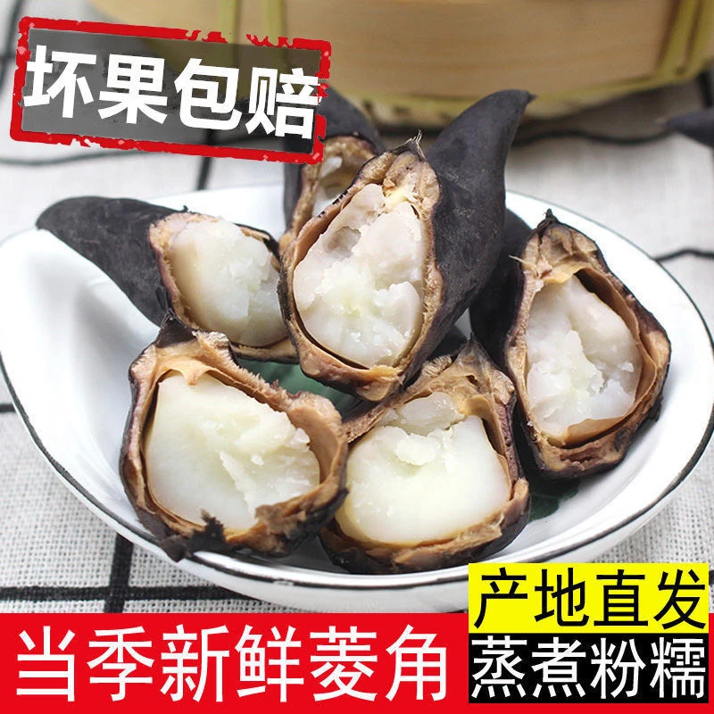 洪湖老菱角新鲜现摘现发湖北菱角农家特产新鲜蔬菜