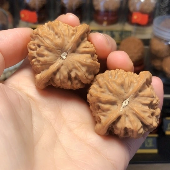 贰*叁野生小众：龙公子货头