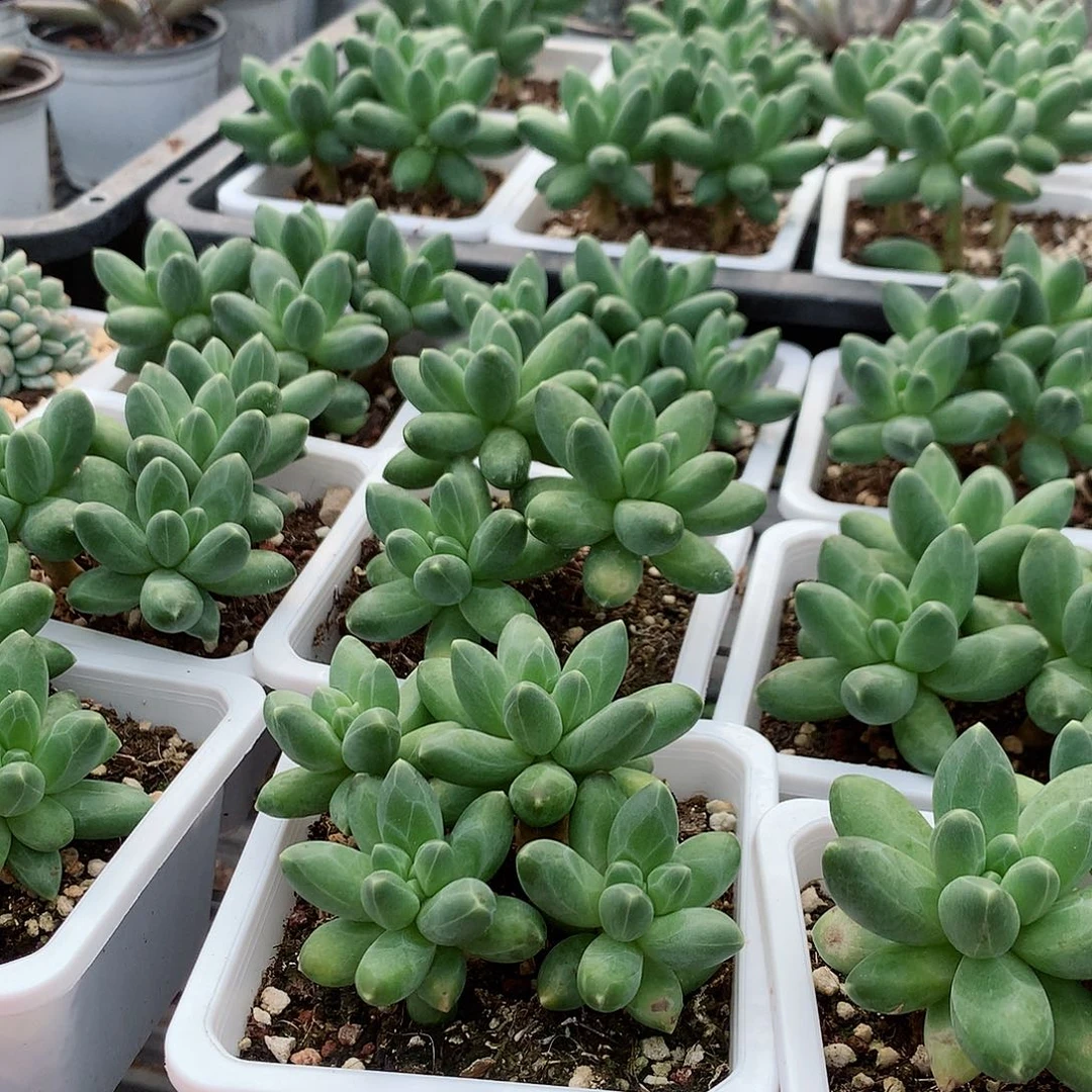 千代田6464646464946444444