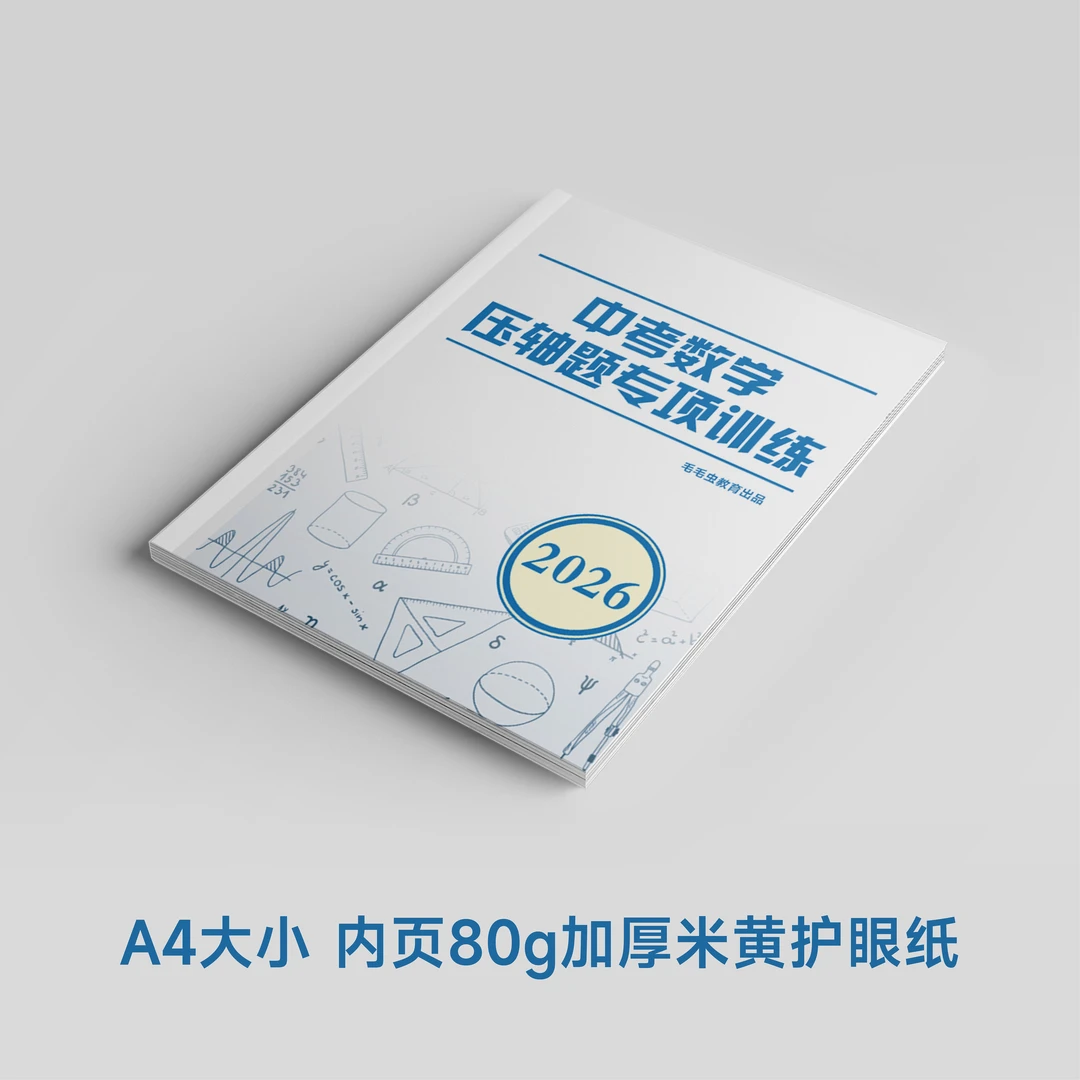 2026中考数学压轴题专项训练（中考复习优质资料，A4大小）必刷题库