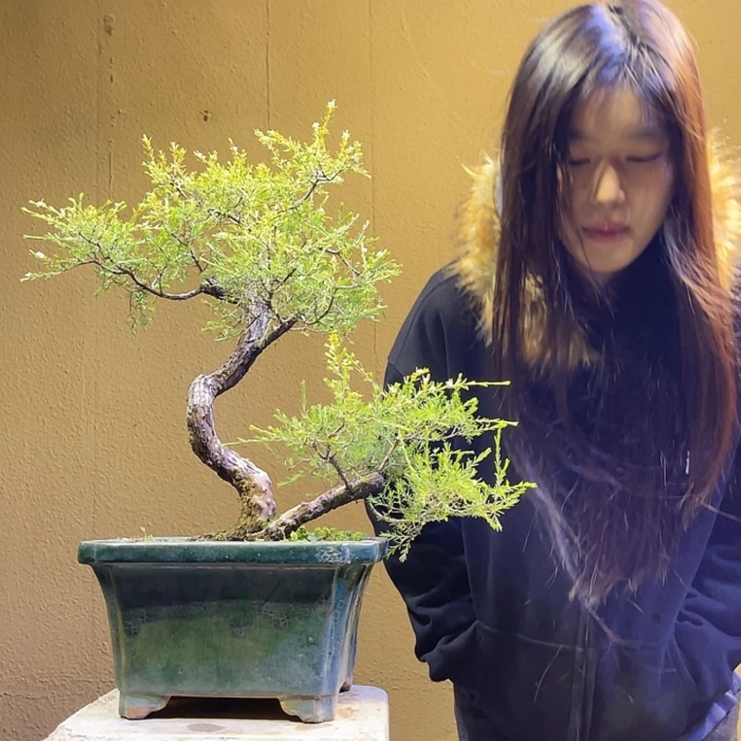 【闪购商品】完全开放玖**柒