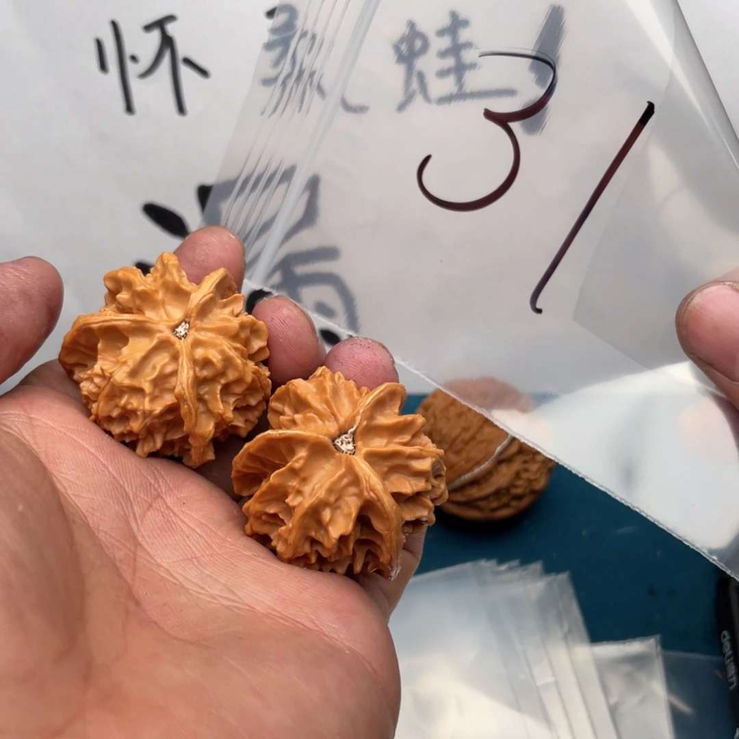 核桃手串/手链756357735573753357