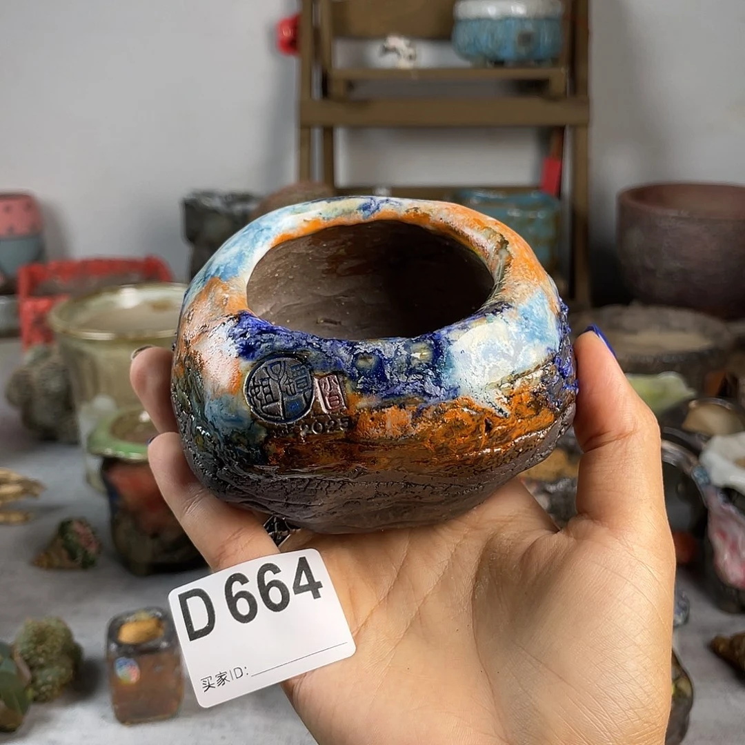 小白孤品 蛋壳 内口6百搭