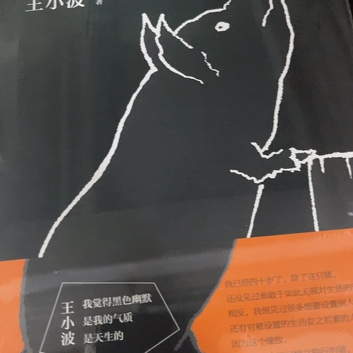 一只特立独行的猪十米