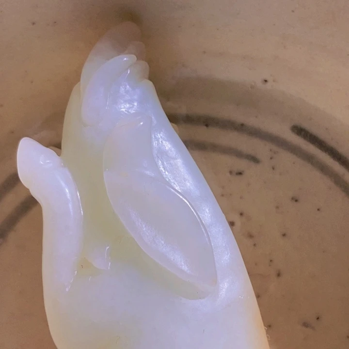 瓷片福**前新号开播，炸炸福利