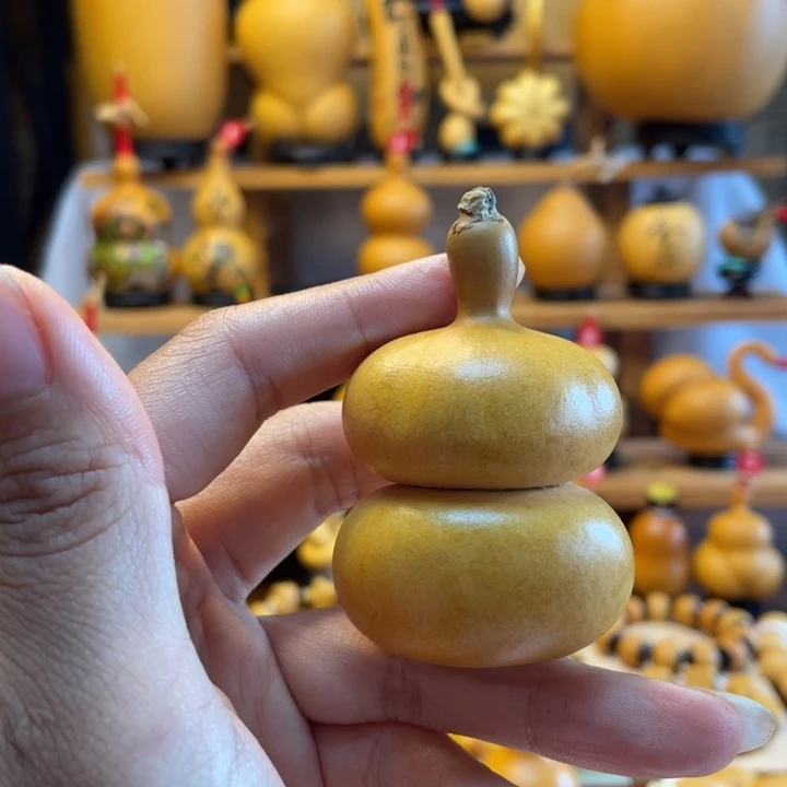 星***辰天然葫芦自然生长