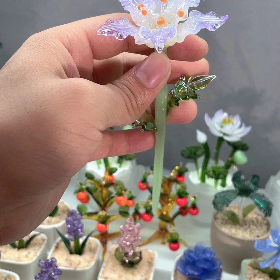 茶宠✨****?不敢再想要去哪