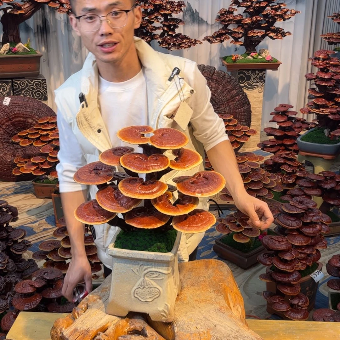 无花朵8888888888888