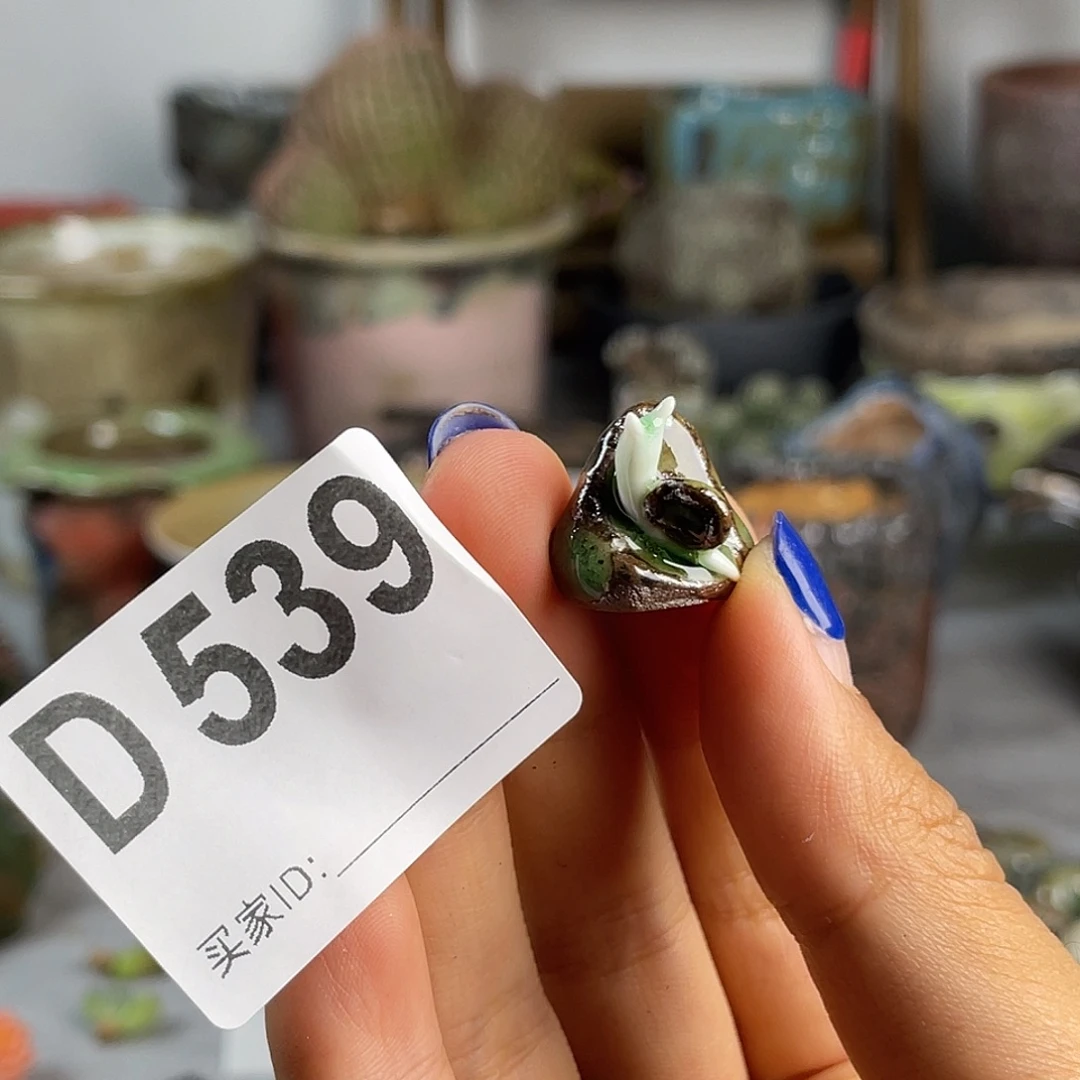 蜗牛压盆石 高2左右 百搭 全手工