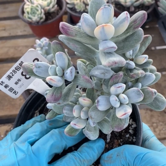 863一一一一一一一一一