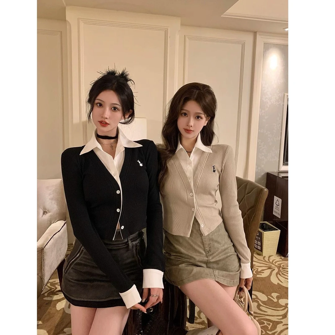 假两件polo领设计感衬衫拼接刺绣长袖T恤女秋季修身显瘦短款上衣