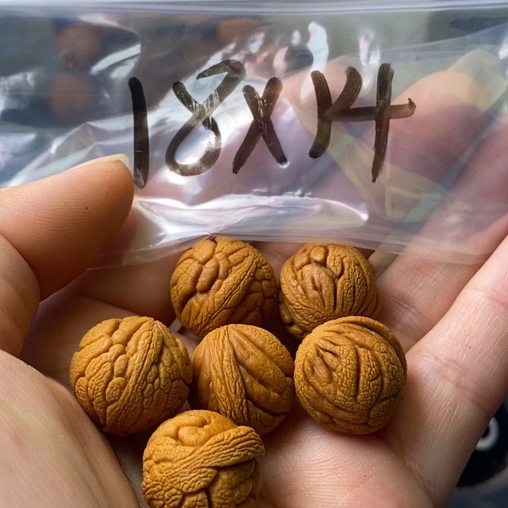 文玩核桃手串秦岭野生龙纹桃核18