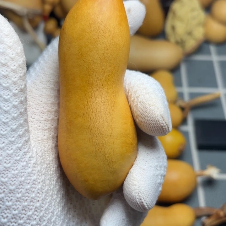 M***龚6666666666666666