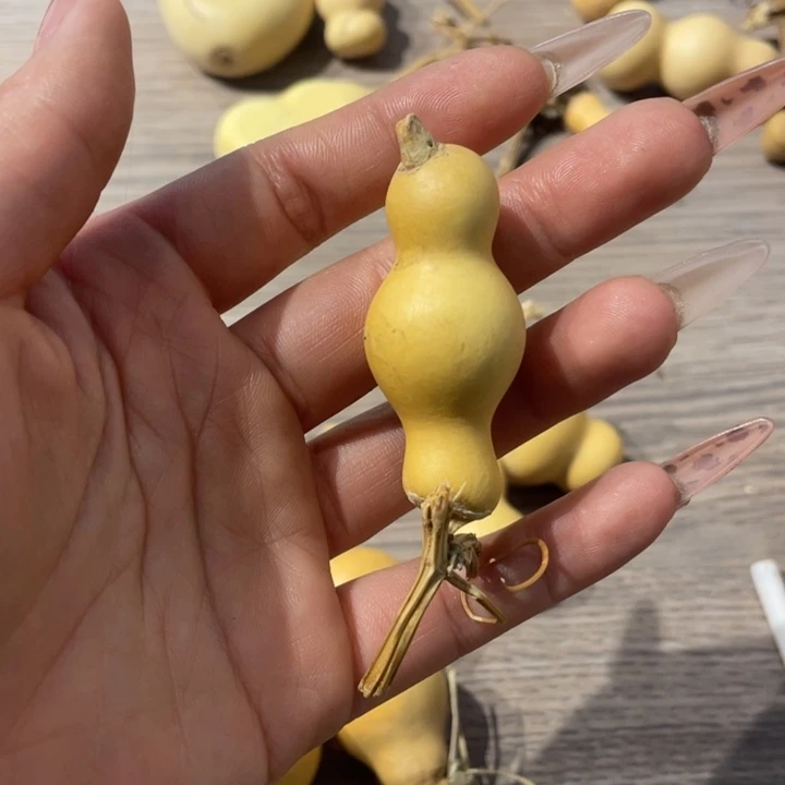 葫芦葫芦葫芦葫芦