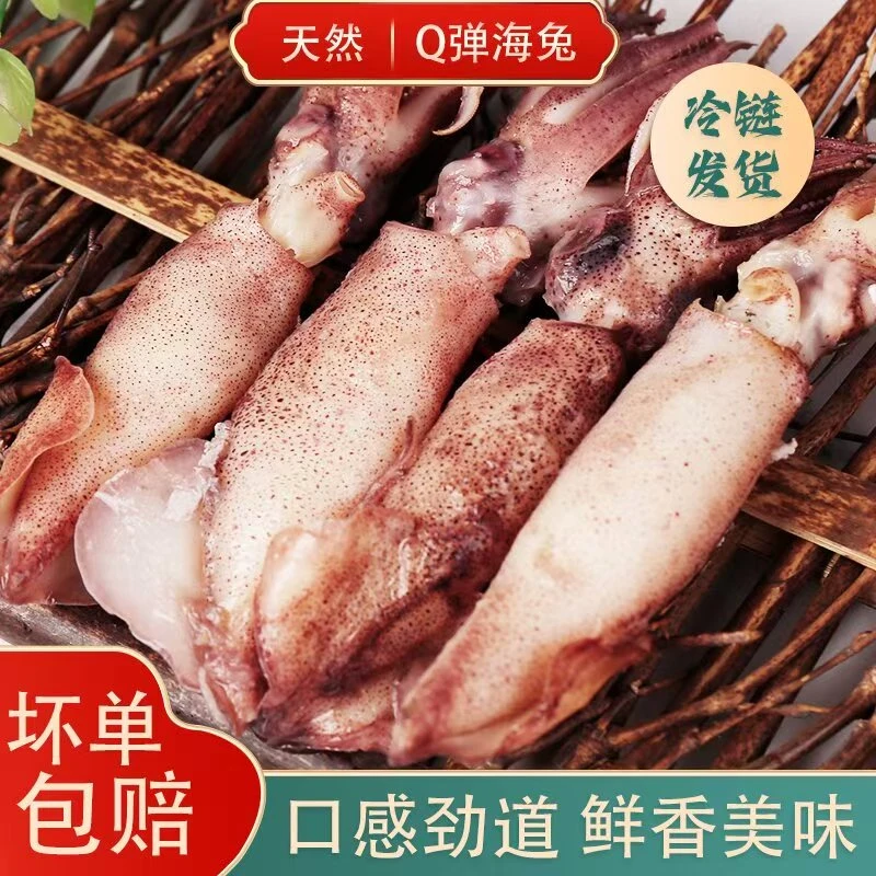 【陡姐】连云港发货大号海兔笔管鱼乌子新鲜无沙冷冻发货，及时取件