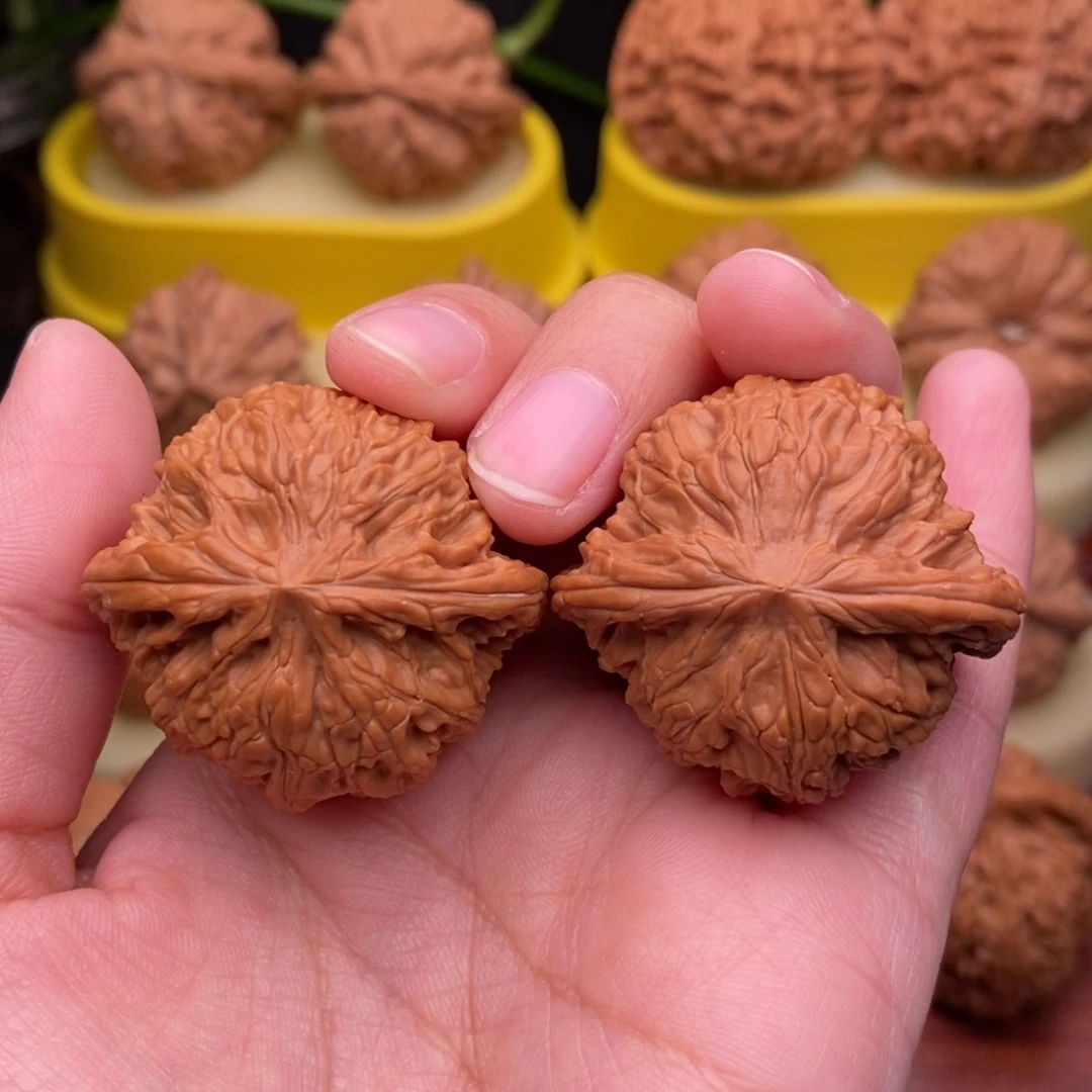 把件文玩核桃37“野生”红皮正磨