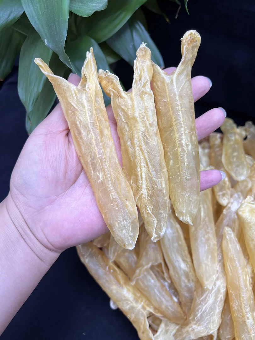 精选干货 45头黄花胶黄花鱼胶筒