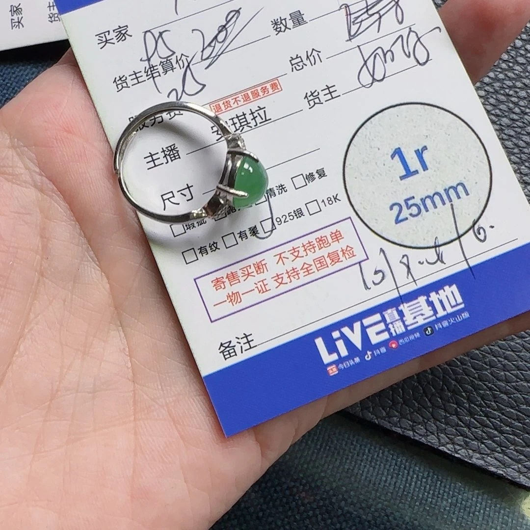 大****翡翠银S925镶嵌颈饰翡翠
