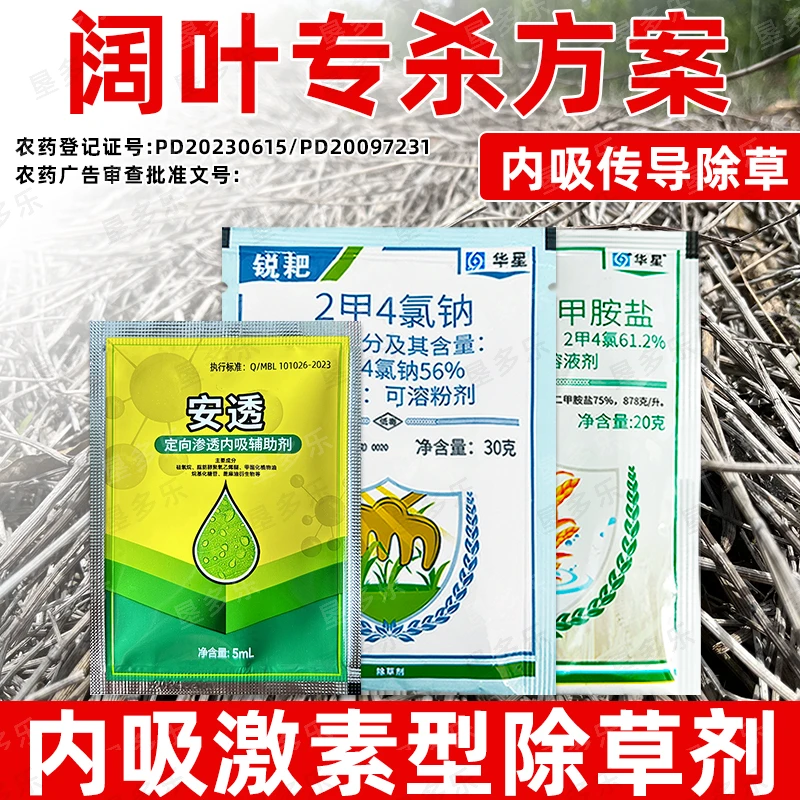 阔叶杂草节节草专杀除草剂木贼笔筒草水花生烂根型除草剂喷施农药